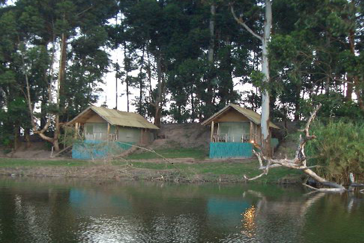 Nkuringo Safari Lodge