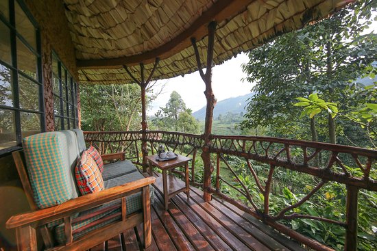 Mahogany Springs Lodge Bwindi